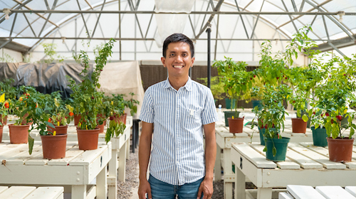 Extension researcher standing in front of plants